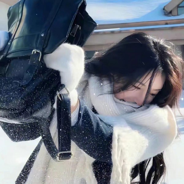 警察锅哥第二季