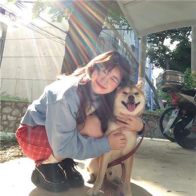 夫人为何如此无情